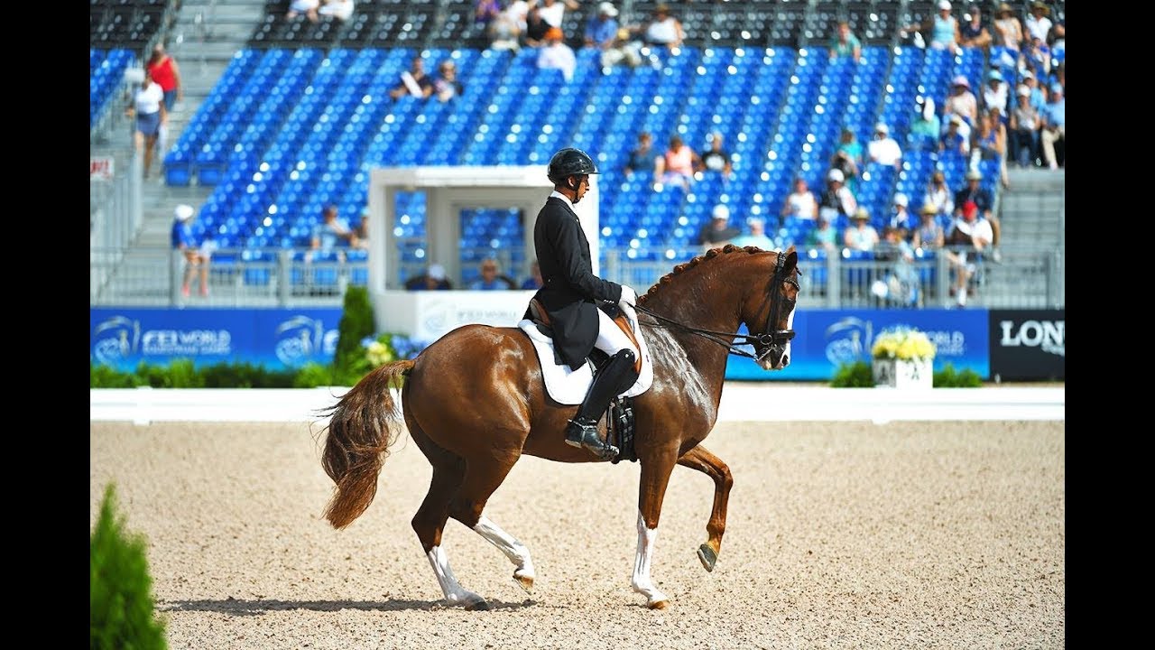 2018 WEG Highlights