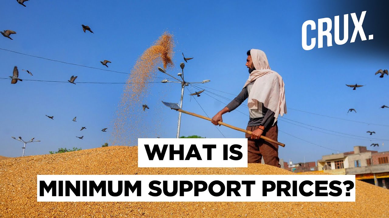Why Minimum Support Price Has Become A Bone Of Contention Between Farmers And Modi Government