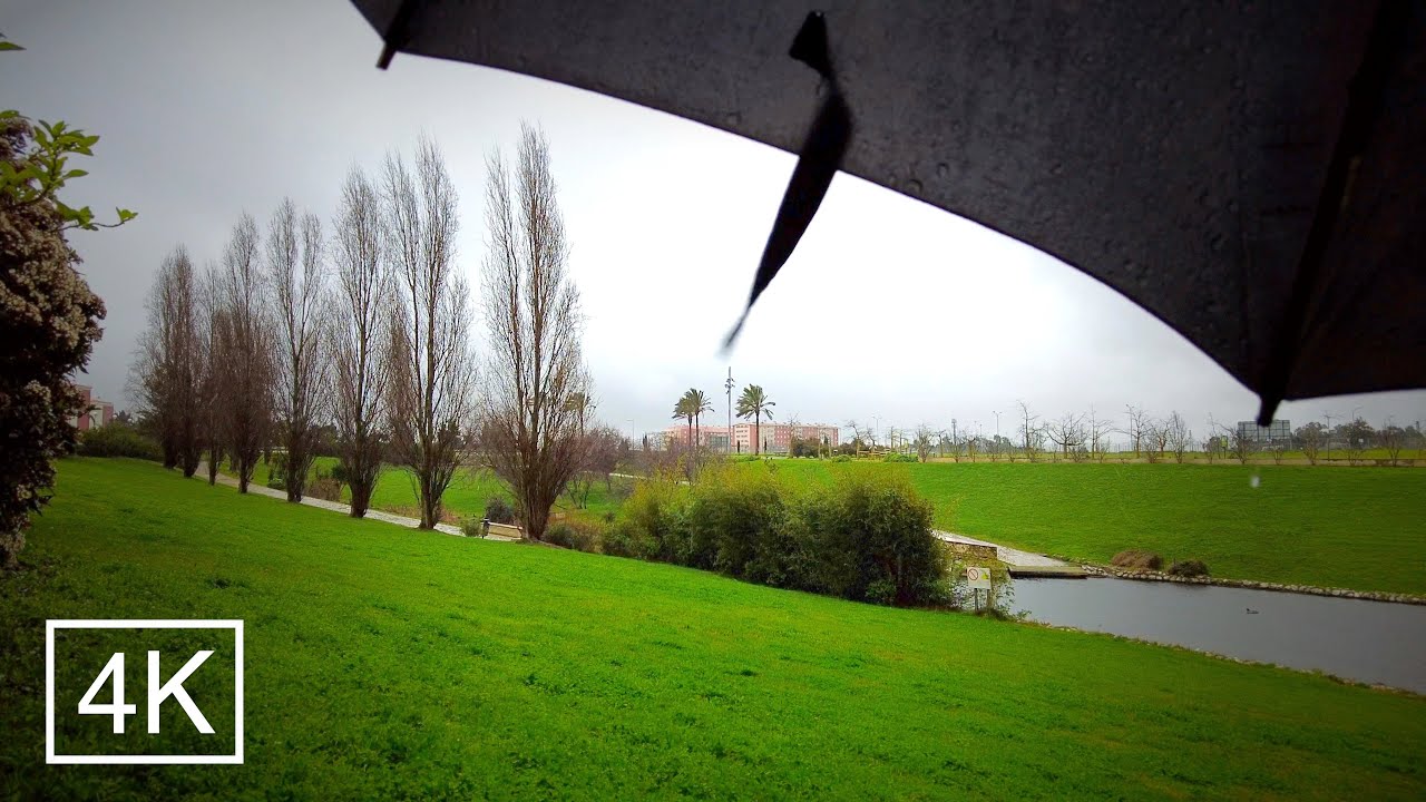 4K ASMR Rain Walk in Lisbon - Stormy Morning at the park - Parque Oeste - Portugal - 3D Audio