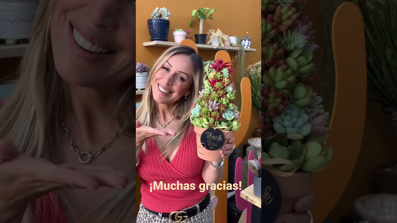 &iexcl;Gracias infinitas! Mi tienda www.veraniatorres.com