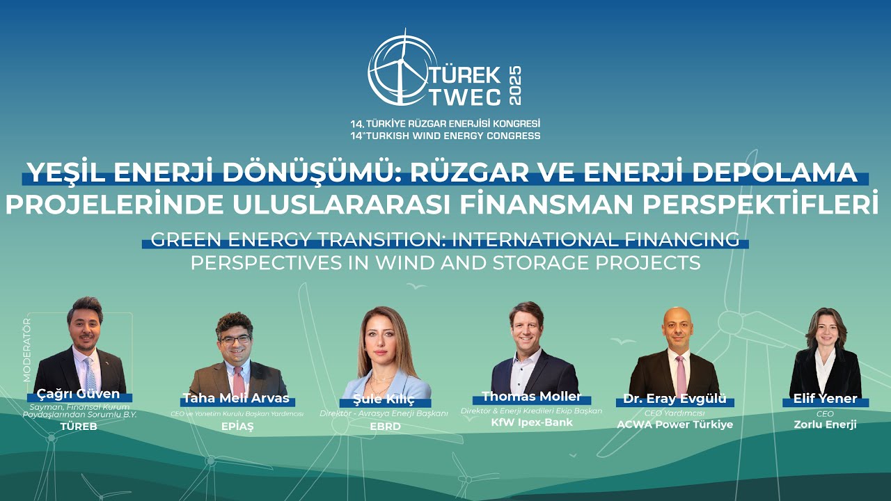 Green Energy Transition: International Financing Perspectives in Wind and Storage Projects