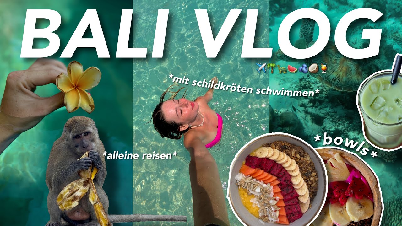 bali vlog ✈️🌴🐢 *alleine durch asien* | schildkröten, bowls & island hopping