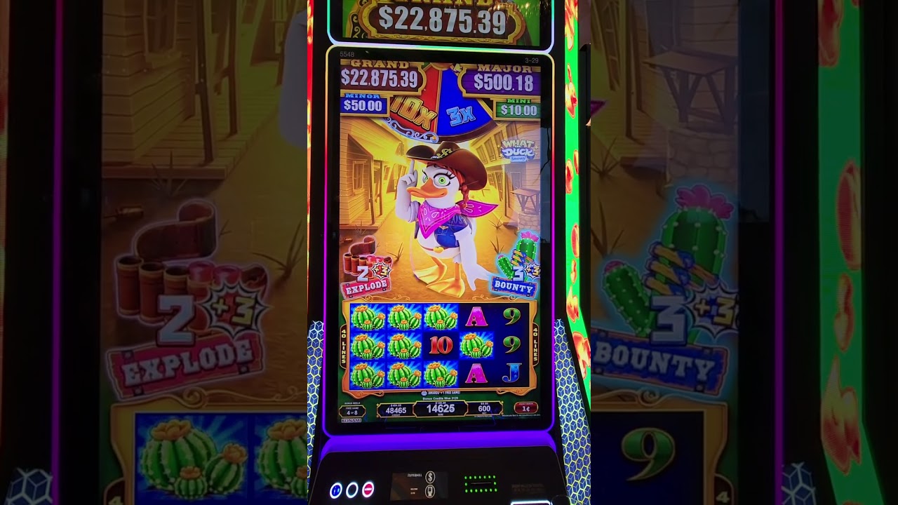 Max Bet Bonus on the NEW What the Duck Slot Machine!! 
