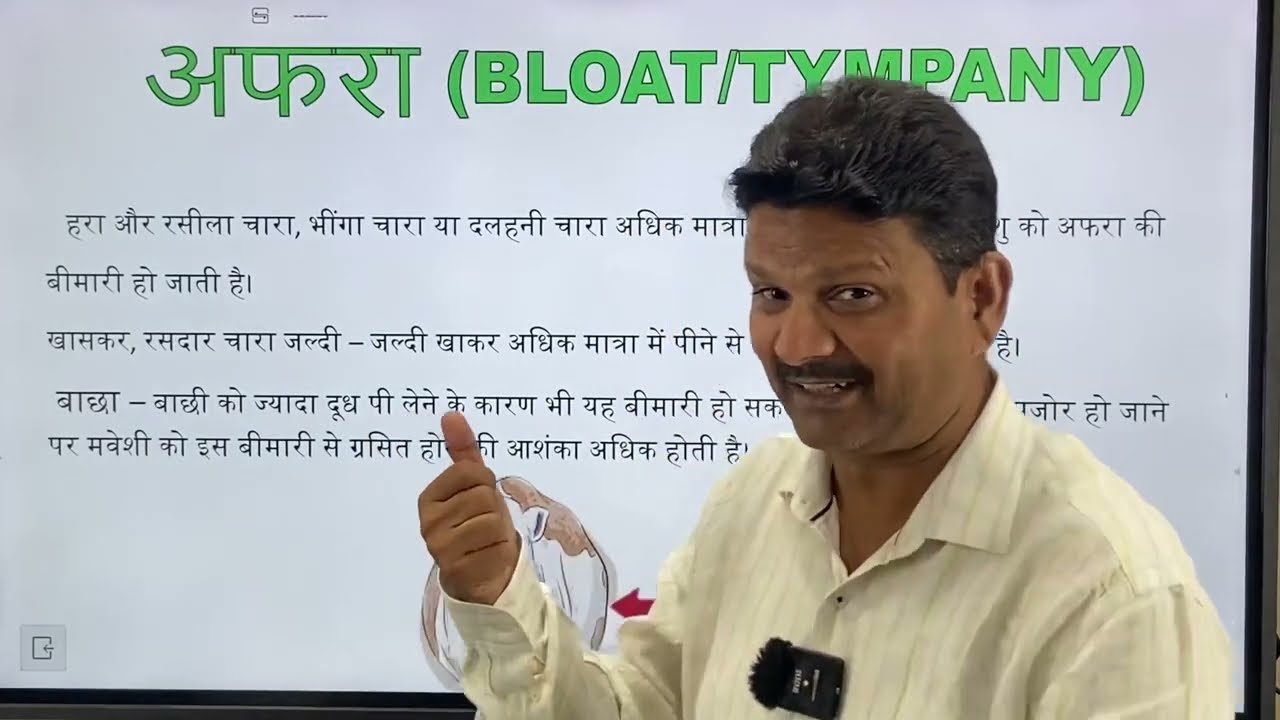 Bloat l Tympany l Accumulation of the gasses in rumen l अफ़ारे का इलाज़ I पेट फूलना I dr umar khan