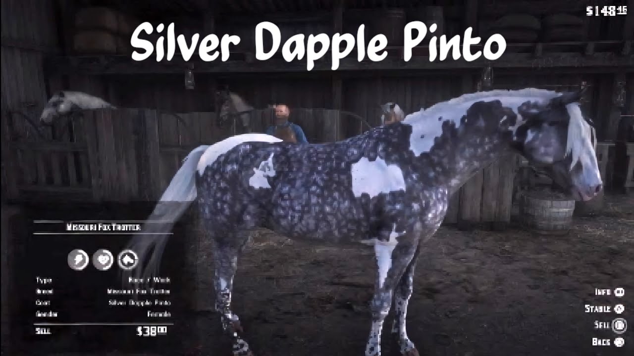 Red Dead Redemption 2 Story - Get The Silver Dapple Pinto Missouri Fox Trotter in Chapter 2