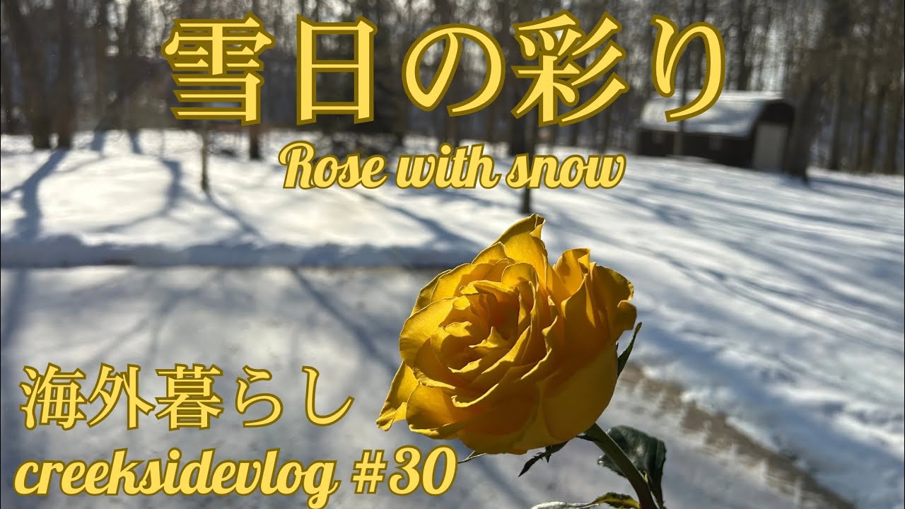 {海外雪国暮らしVlog＃30}食料品店 Grocery store/ 台所の掃除 Cleaning/手作りのお楽しみHomemade Treats/ 雪と氷のお庭 Frozen Creek