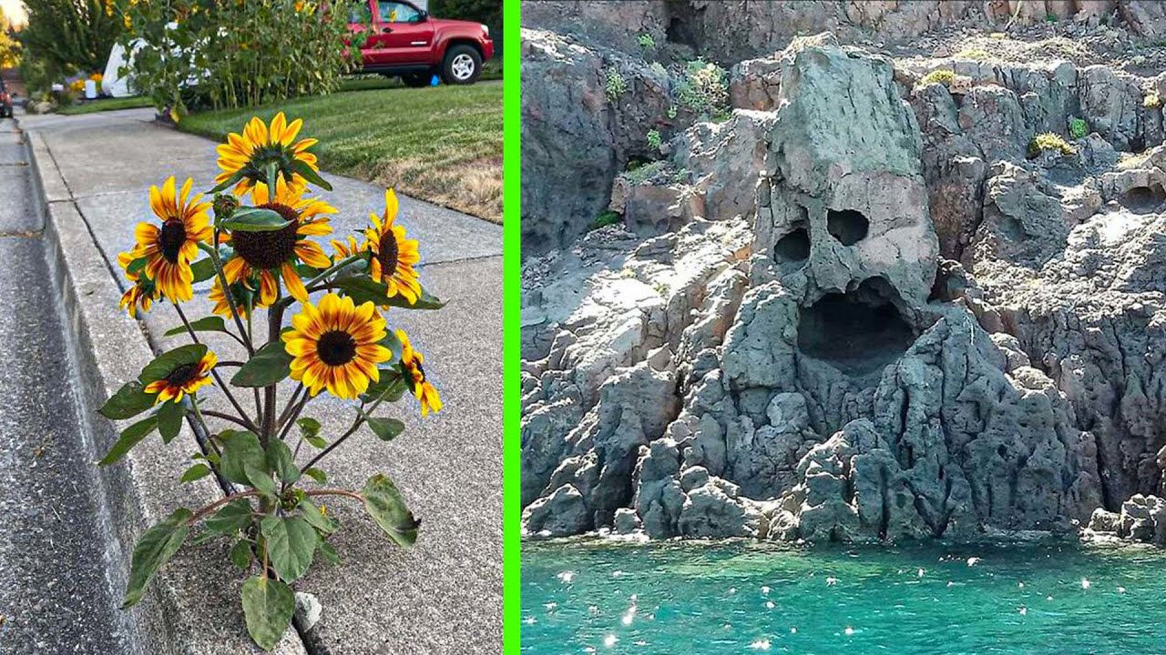 'Surprisingly Interesting' Things Observed In Nature That May Seem Mundane
