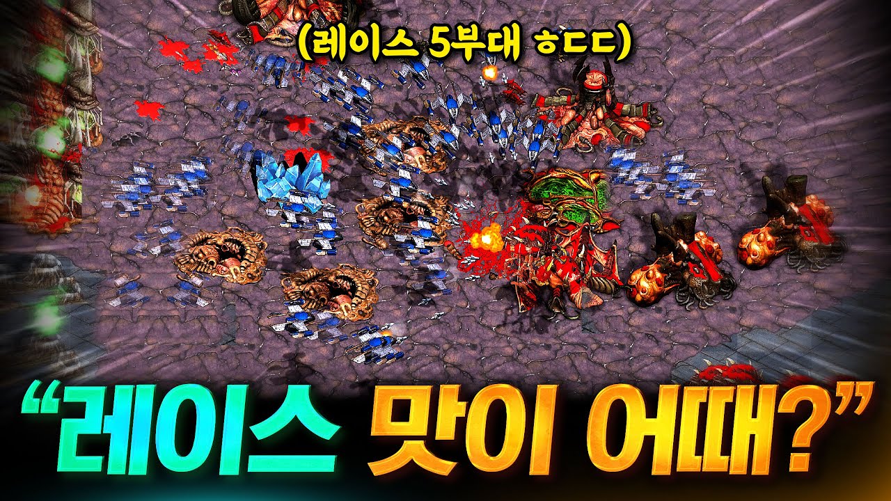 레이스 5부대로 공중 장악! 상대를 하나씩 지워보겠습니다ㅋㅋ