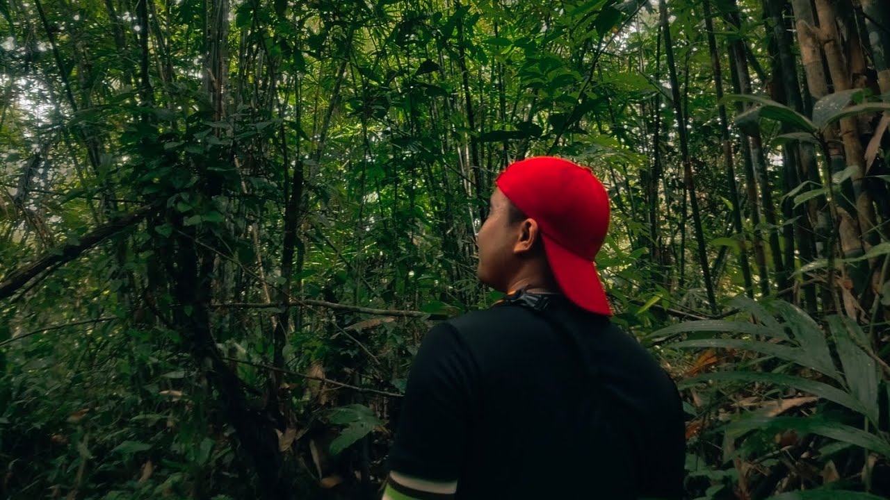 Hiking after gawai⛰️ / Hiking dengan para hikers veteran!