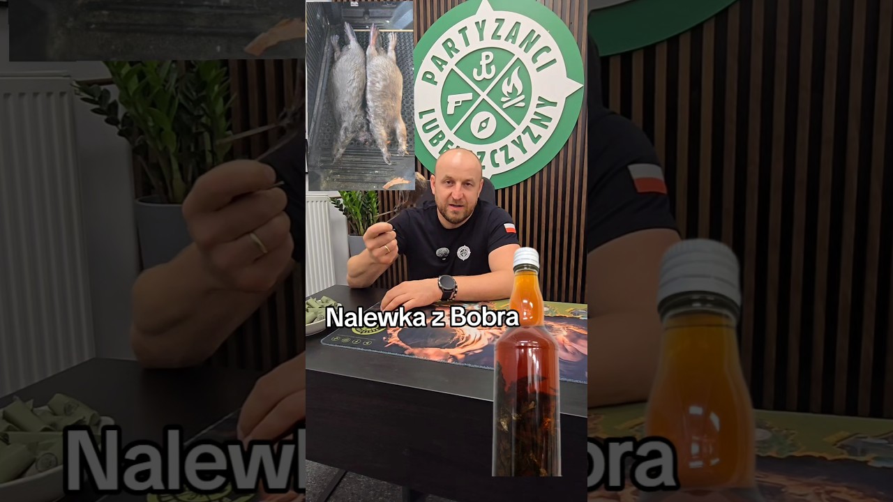 Nalewka z Bobra starożytna wiagra