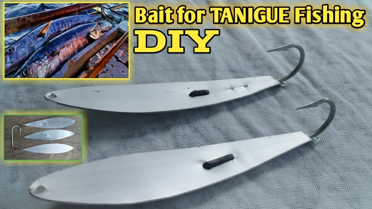 Bait for TANIGUE fishing step by step  process and materials