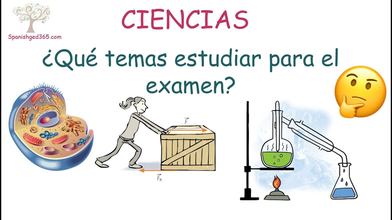 CIENCIAS, ¿qué temas estudiar para el examen?