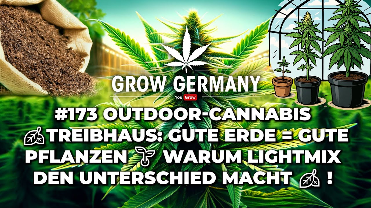 #173 Outdoor-Cannabis 🍂Treibhaus: Gute Erde = Gute Pflanzen 🌱 Warum Lightmix den Unterschied macht!