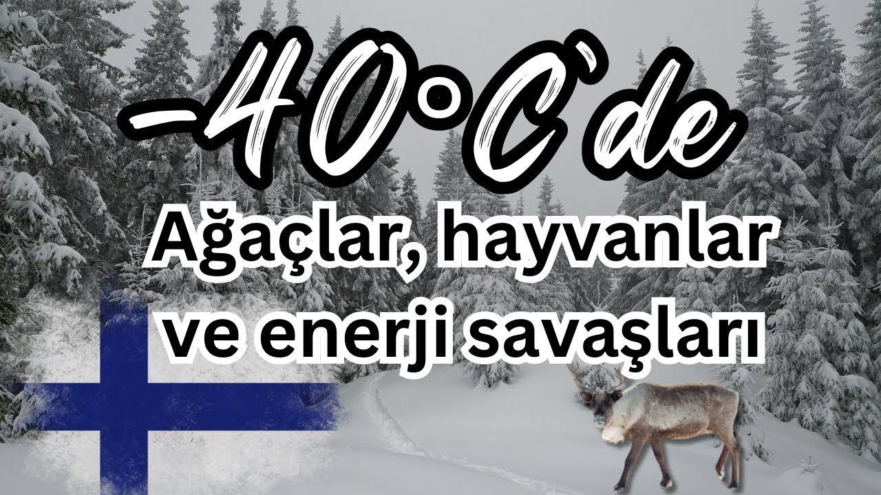 Buz Gibi Ormanda Hayatta Kalmak: Sarhoş Ağaçlar ve Enerji Savaşları