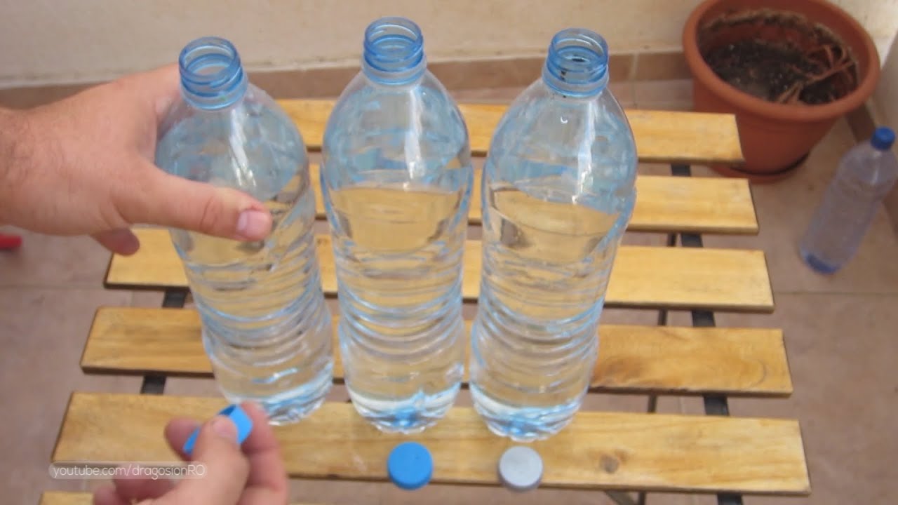 Water plants while on vacation using water bottles