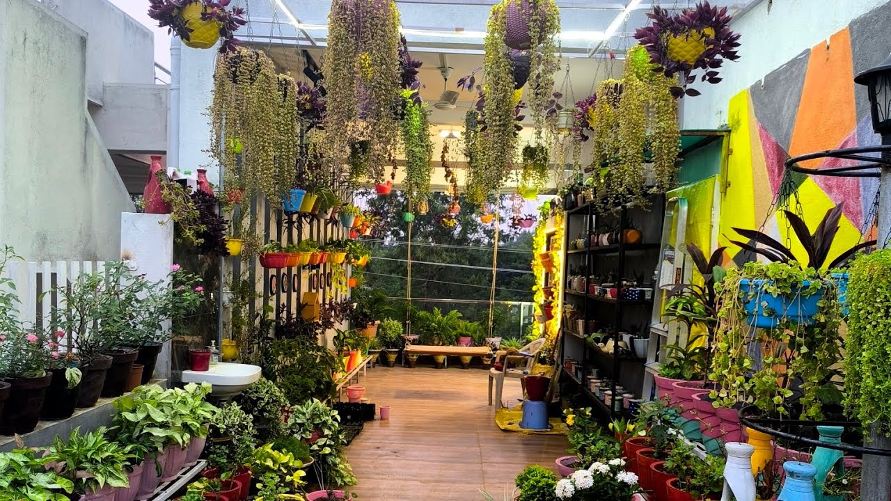 Garden's Overview 🍀🪴🌼🥀