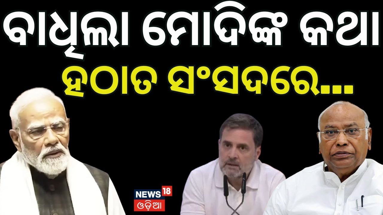 Motion of Thanks Passed in Lok Sabha Without PM Modi's Reply Amid High Drama