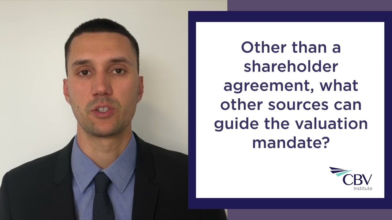 CBV Insights Litigation Video Series - Shareholder Disputes