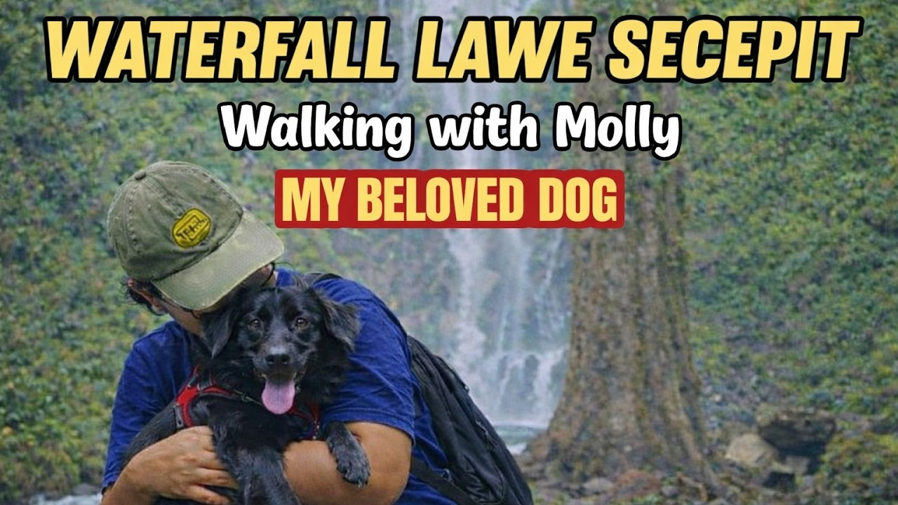 Jalan-jalan Bersama Molly Anabul Kesayangan di Curug Lawe | Hutan Medini yang Menyegarkan