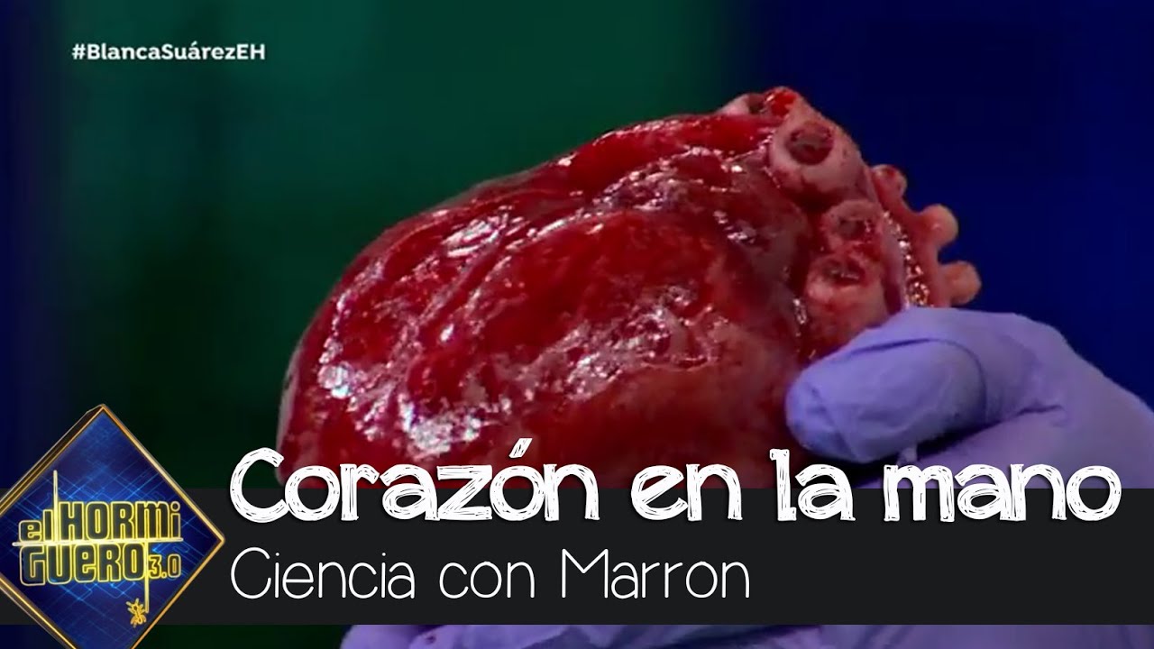 Marron, con el coraz&oacute;n en la mano en uno de los experimentos m&aacute;s fascinantes - El Hormiguero 3.0