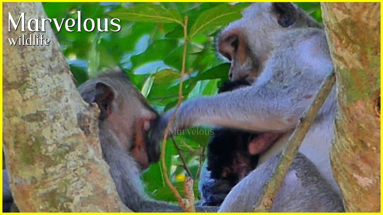 N/o milk...! Great young momJazzy c/losedd Jonna's h/eadd reserve into drink milk with baby Jiva