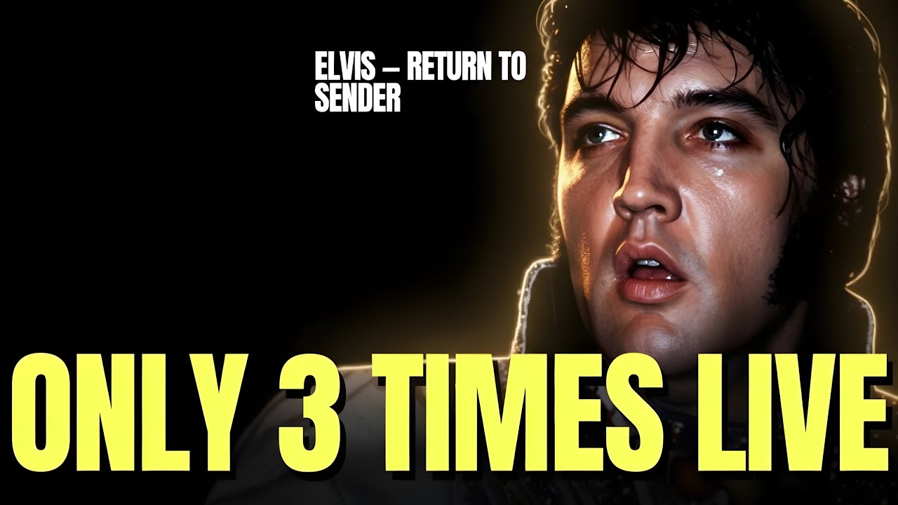 Elvis Return to Sender Live | Rare Performances from Final Years