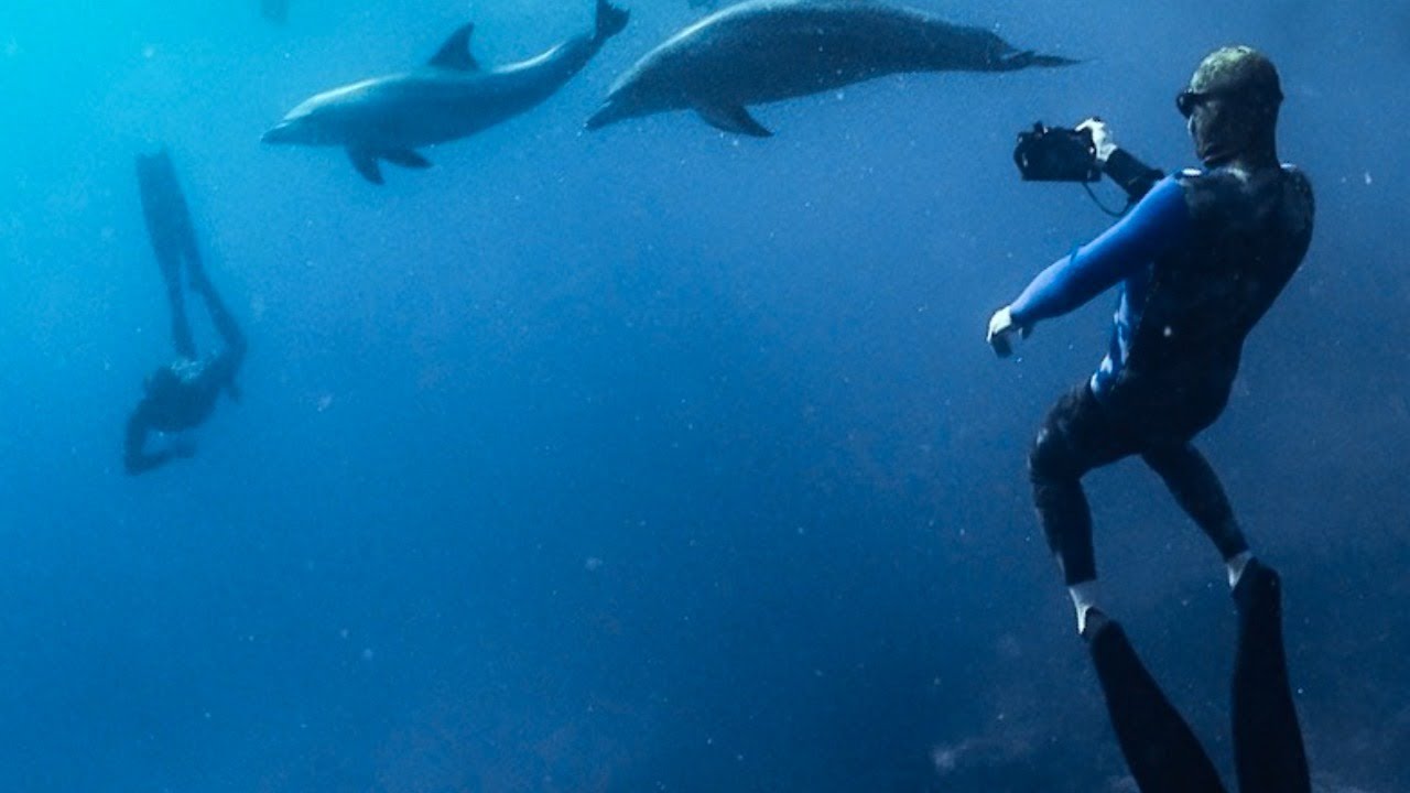 NTX : Why Freediving is NOT dangerous