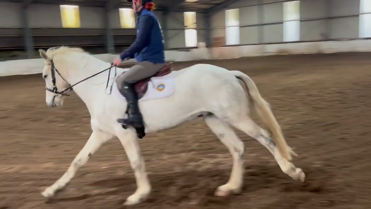 Franco flat work 