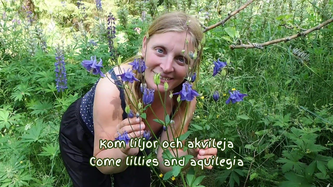 Ut i vår hage - Swedish Folk Song - Svensk Folkvisa