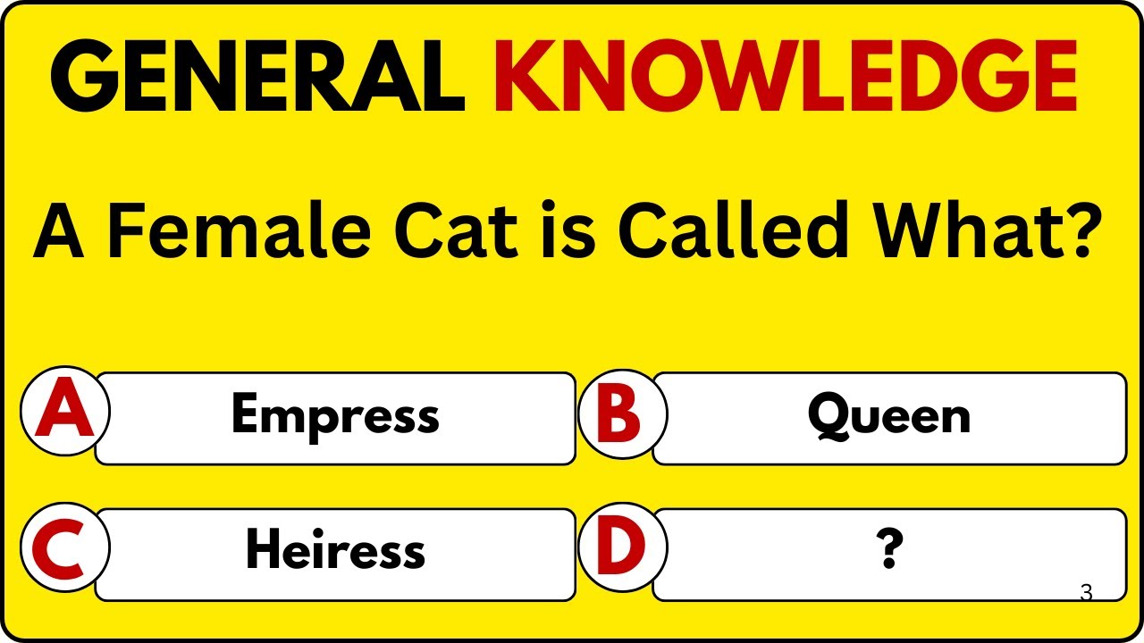 How Sharp Is Your General Knowledge? 🤔 Only True Geniuses Get a Perfect Score! | SharpMind Quiz