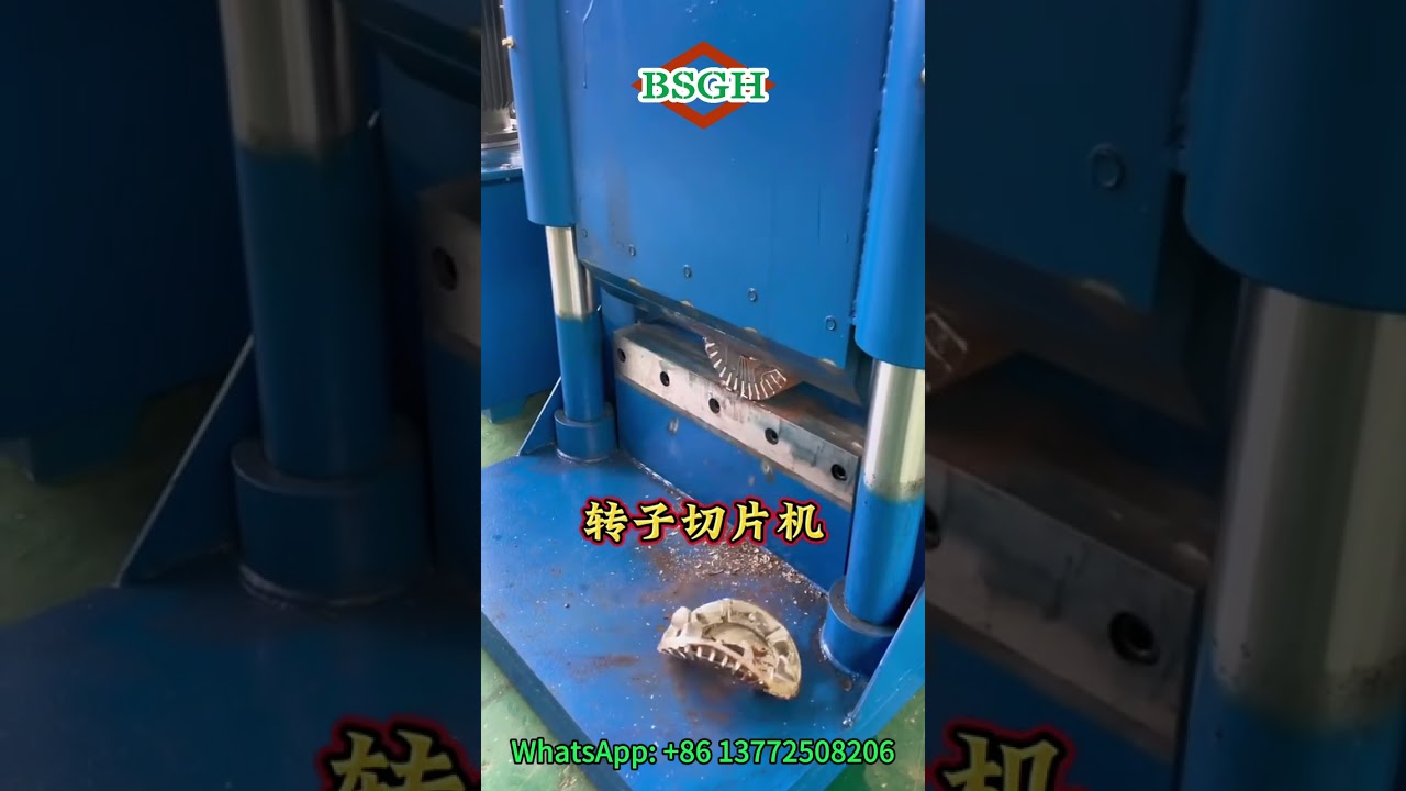 Rotor Cutter Machine | Cut Scrap Motor Rotor To Recycle Aluminum BSGH
