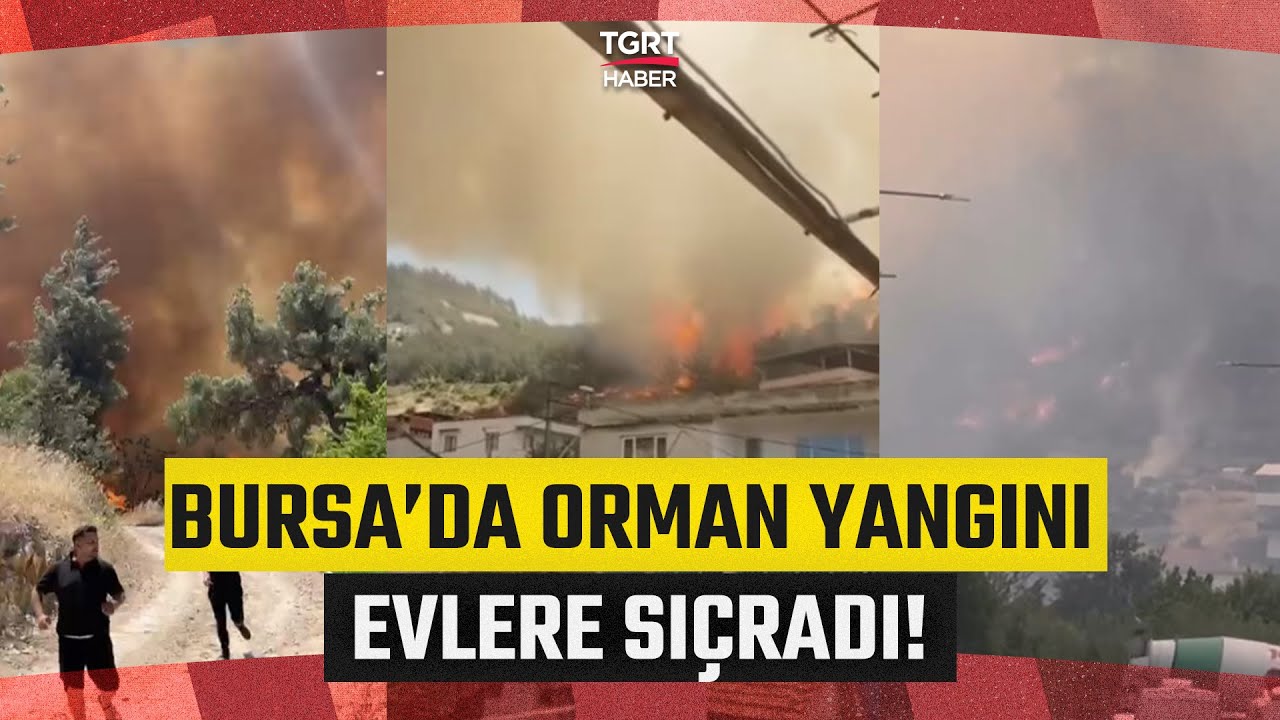Bursa’da Orman Yangını! Köydeki Evlere Sıçramasıyla Büyük Panik Yaşandı  - TGRT Haber
