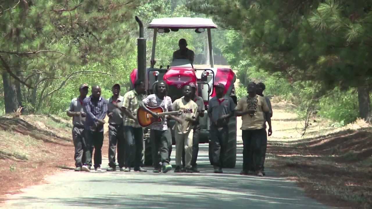 'Youth in Agriculture' for a New Generation of farmers