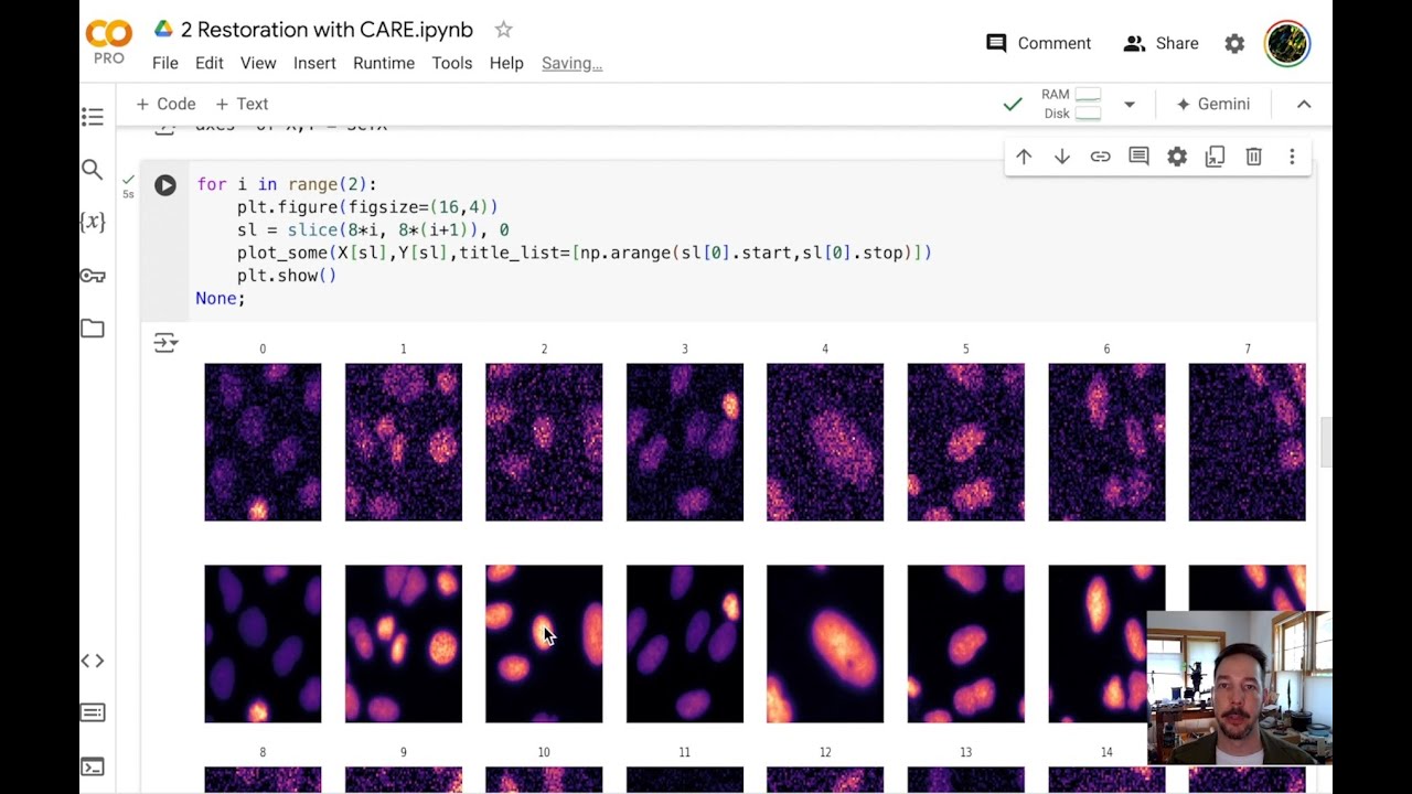 Deep Learning Image Restoration and Segmentation 1 (OSU 2024)