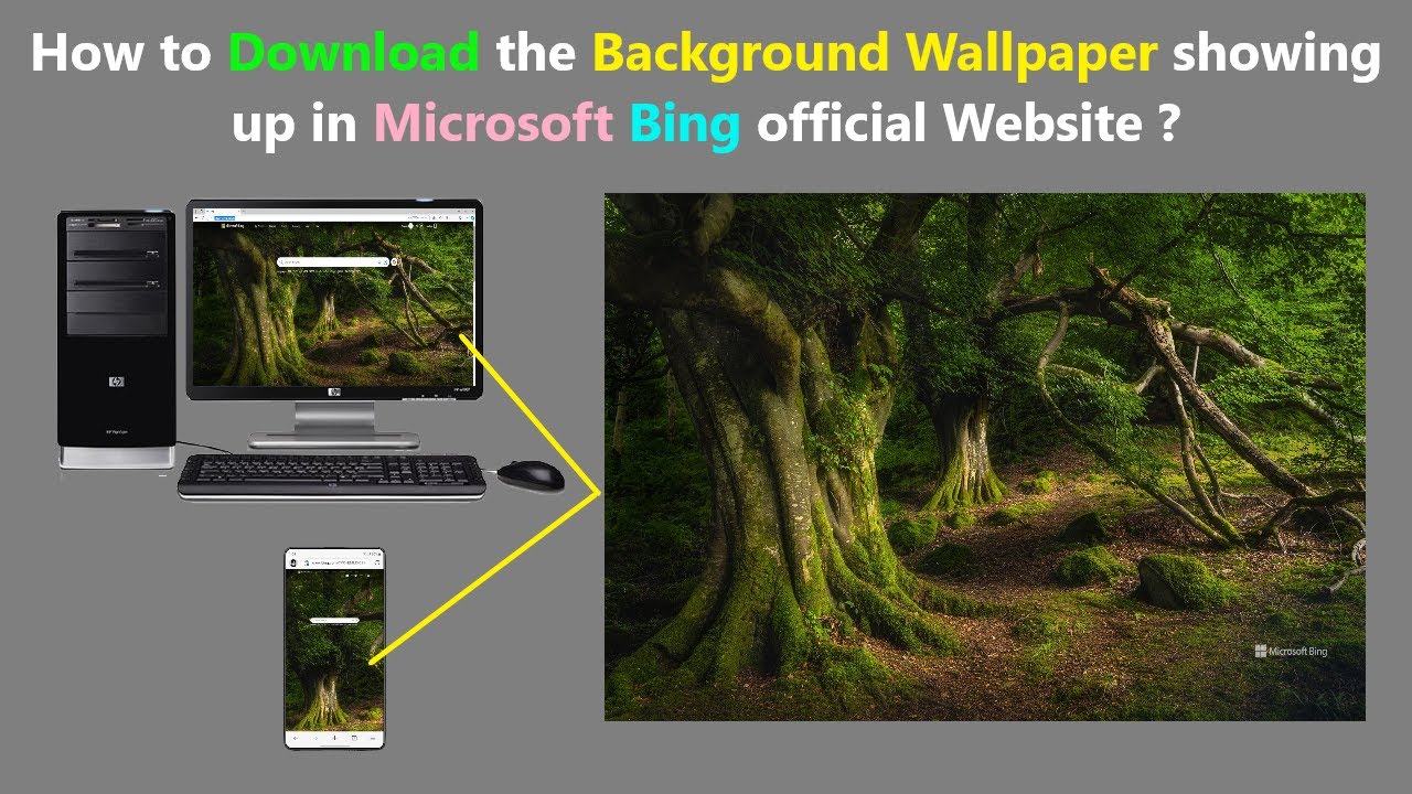 Как скачать фоновое изображение, отображаемое на официальном сайте Microsoft Bing?
