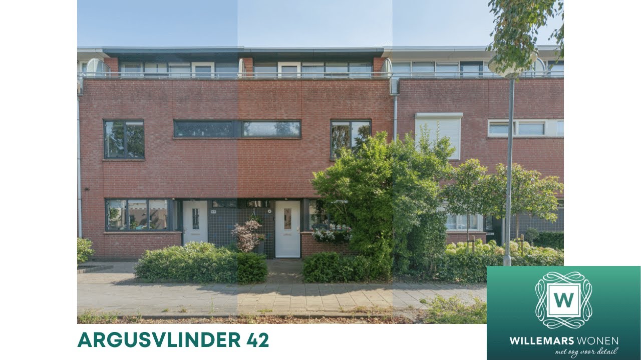 Westerpark | Argusvlinder 42 Breda