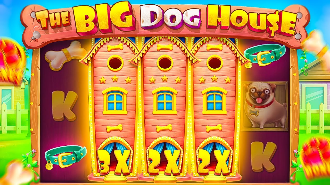 BUYING BONUSES ON NEW THE BIG DOG HOUSE&hellip; AND THIS SETUP WAS CRAZY!! (Bonus Buys)