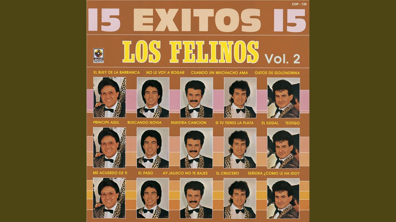 Señora Como Le Ha Ido