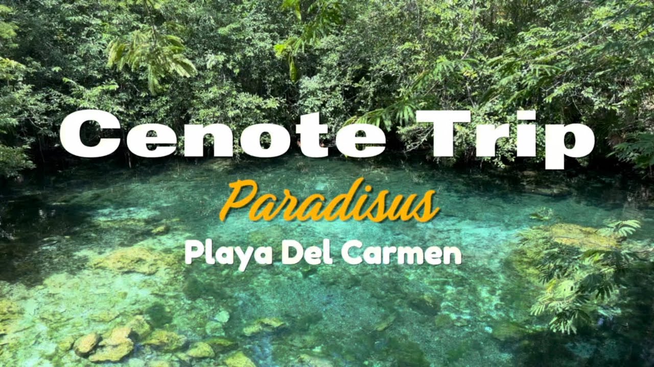 Join us on this complementary Cenote trip offered by Paradisus Playa Del Carmen!