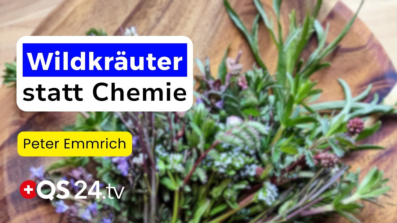 Wildkr&auml;uter statt Chemie: 20 Tinkturen, die &uuml;ber 300 Symptome lindern k&ouml;nnen | Naturmedizin | QS24