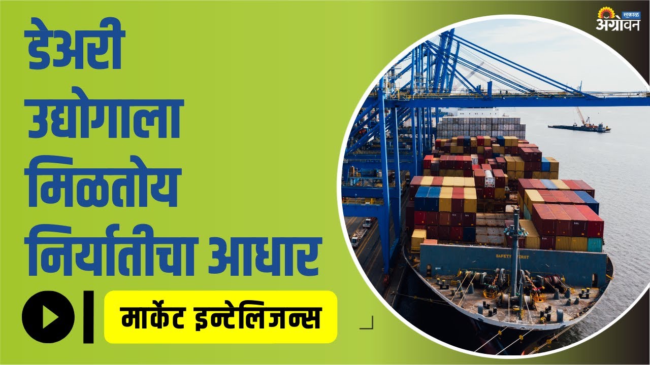देशातून Dairy Products Export मध्ये 63 Percent वाढ | Milk Rate | Agrowon
