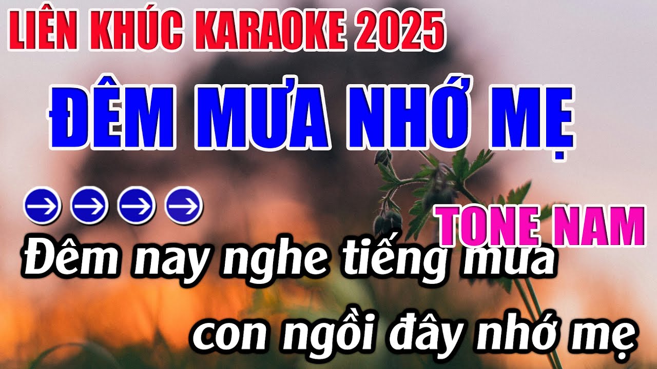 Liên Khúc Đêm Mưa Nhớ Mẹ Karaoke Tone Nam Karaoke 9999 - Beat Mới