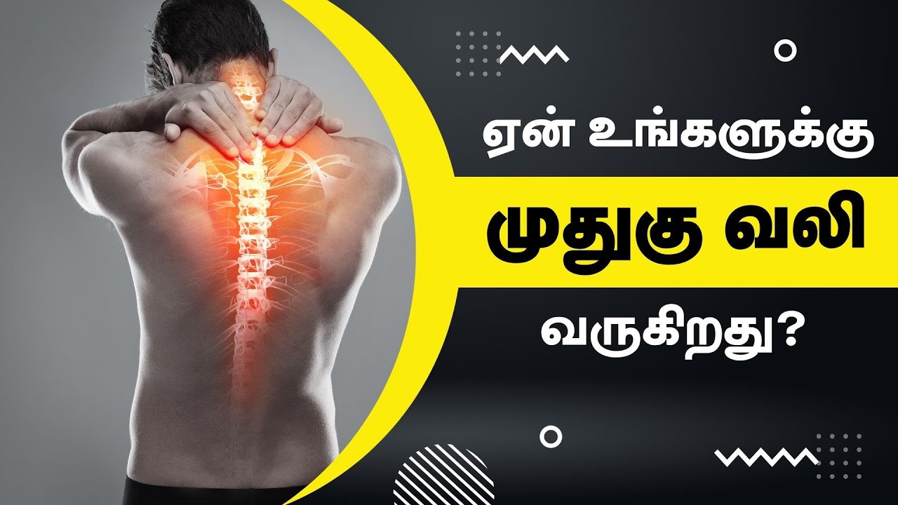 SHOCKING Reasons You Have Back Pain Muthugu Vali | 24 Tamil Health