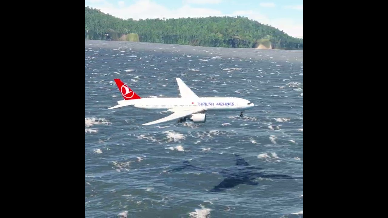 Impossible Landing!!! Amazing View before the Plane Landing eps.570