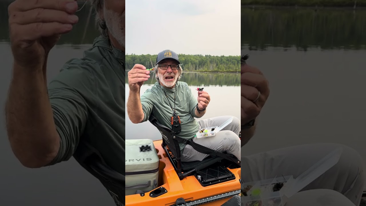 How to pick a bass popper #fishing #flyfishing #bassfishing #bass