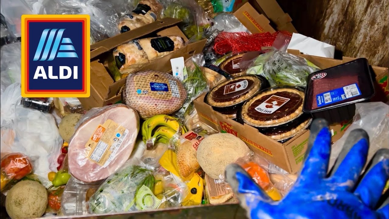 Dumpster Diving Aldi #65 Free Grocery Shopping!