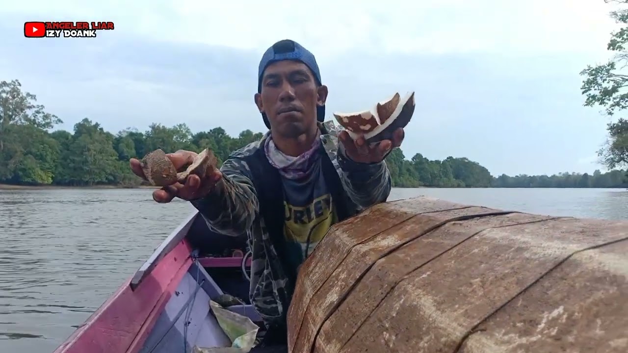 Hasil Udang Galahnya 3x Lipat Dari Minggu Kemarin