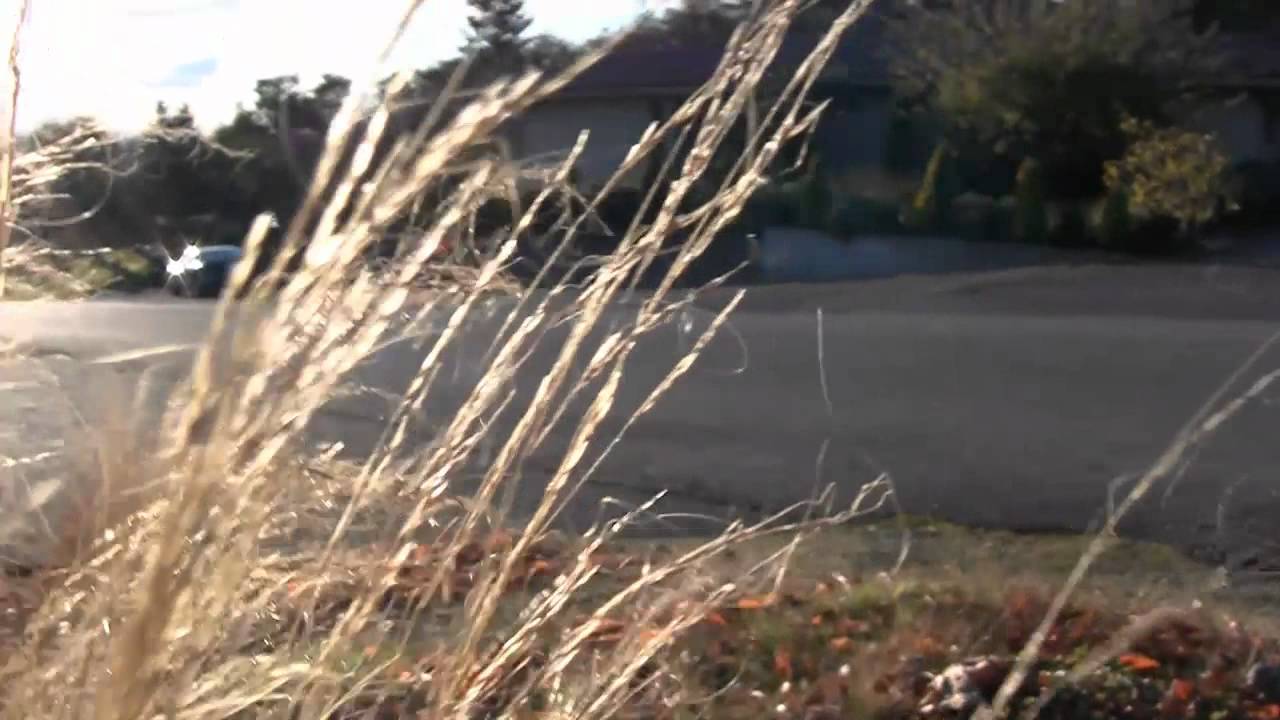 2011 Motion Boardshop Longboarding Mashup