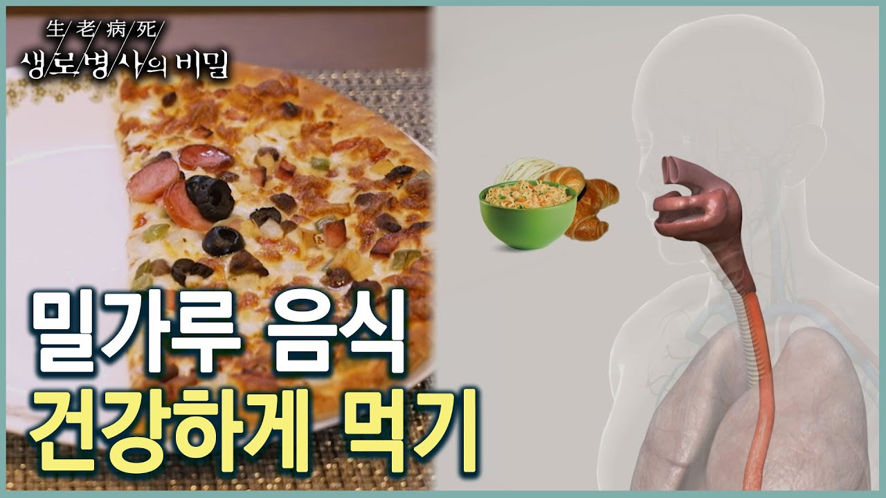 건강하게 밀가루 음식을 먹는 방법 (KBS 20221207 방송)