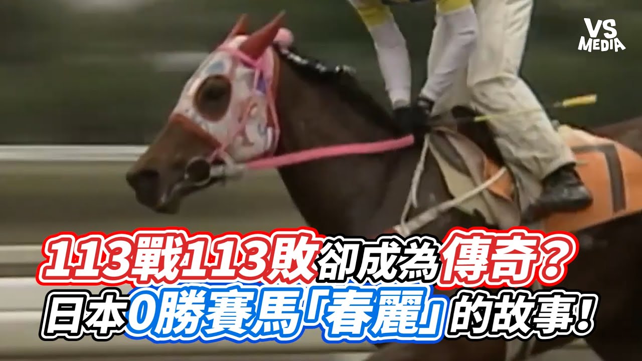 113戰113敗卻成為傳奇？日本0勝賽馬「春麗」的故事！｜VS MEDIAｘ@zuoer